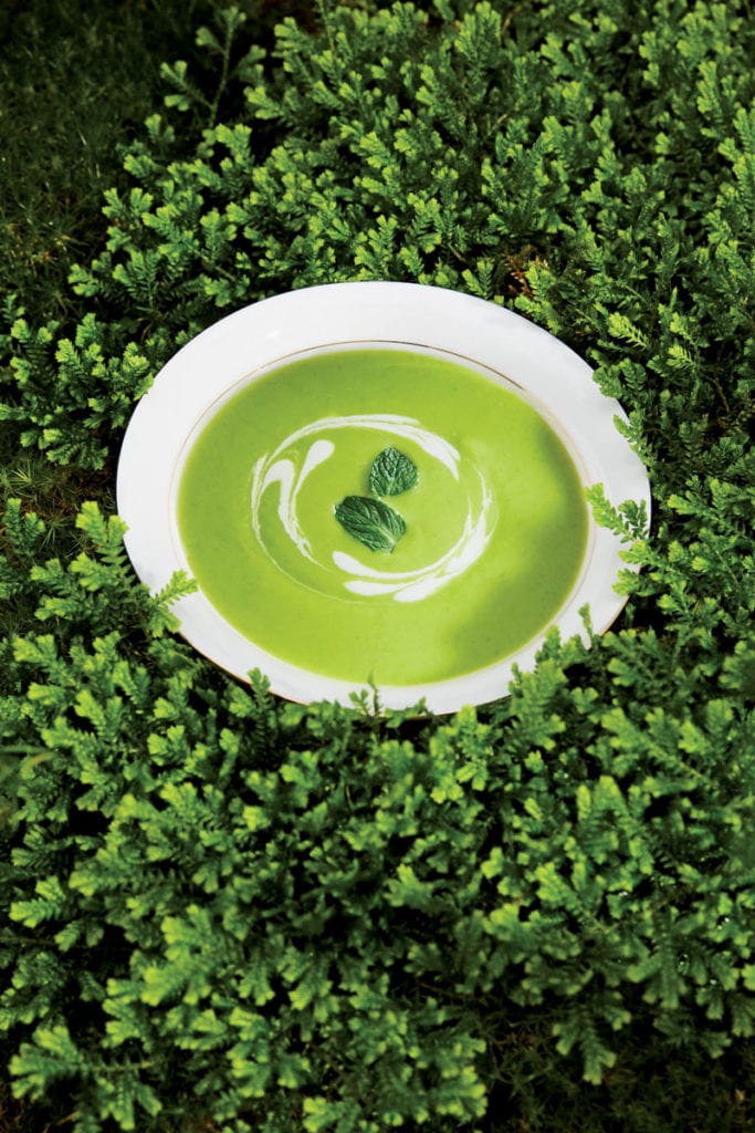 Gluten-Free Chilled English Pea Soup with Yogurt and Mint Recipe