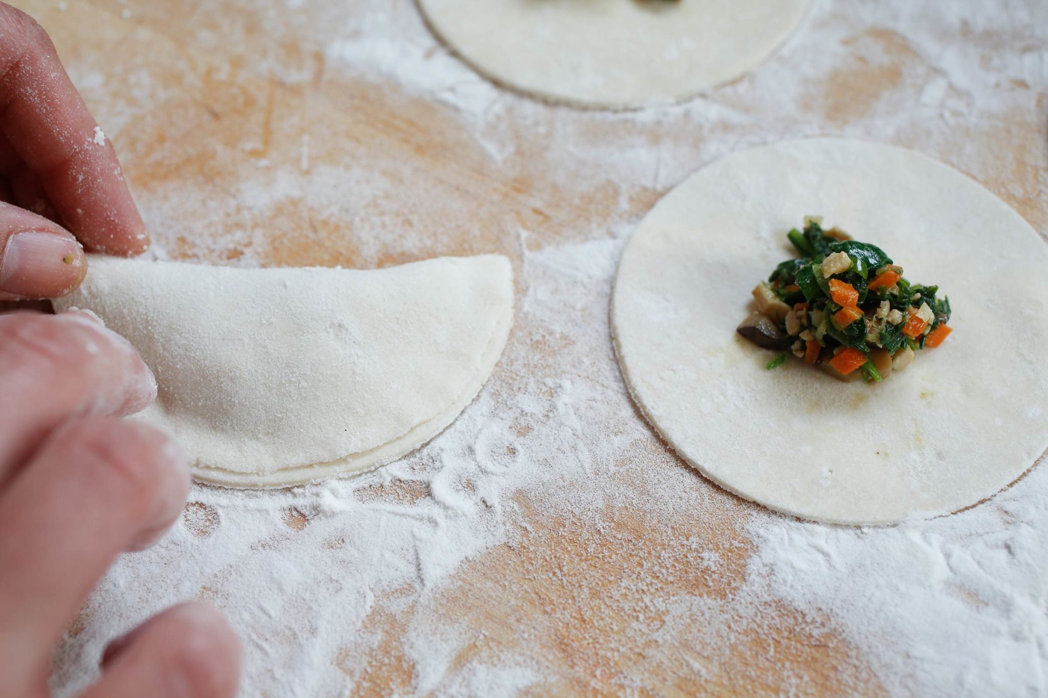 Pot-Stickers-Fold-Dough-Over | GFF Magazine