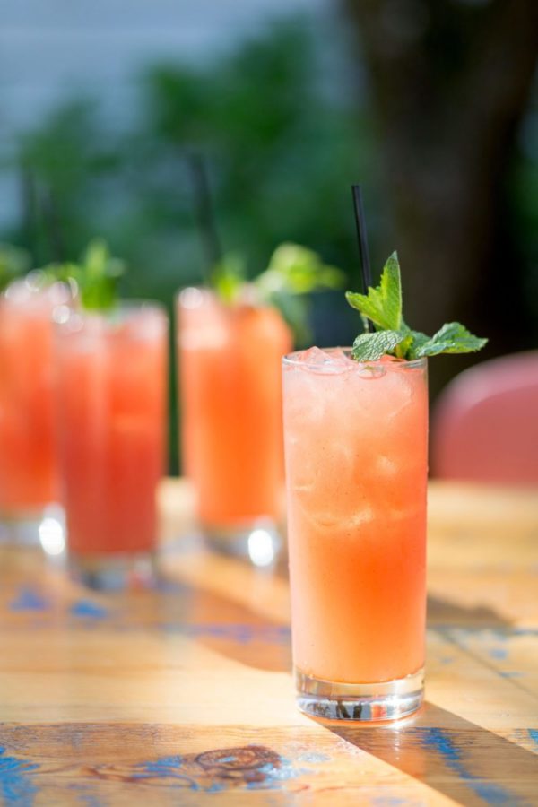 gluten free gin and tonic cocktail watermelon garam masala cocktail